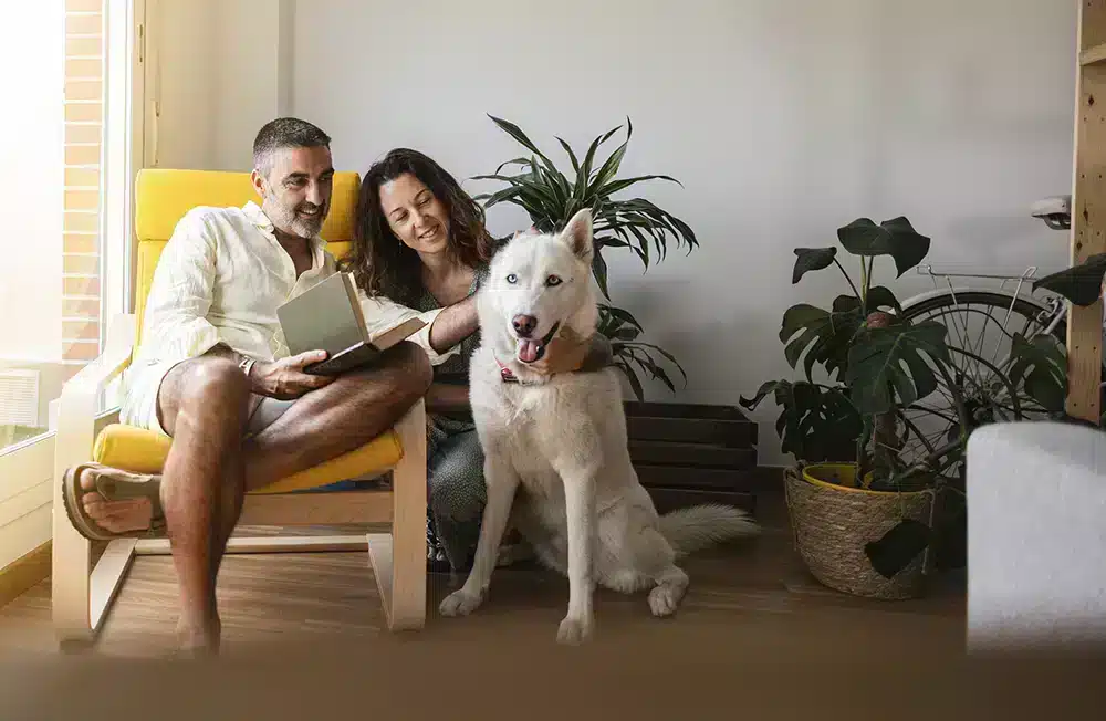 Do I Need a Whole Home Generator?